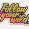 Follow_Your_Wild-Holographic-Sticker-Adventrgram-CGtraveler