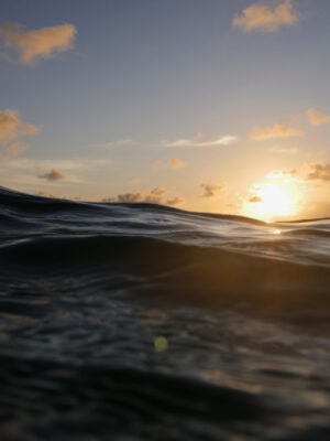 Ocean_wild-Photography_Print-Carlos_Garrido